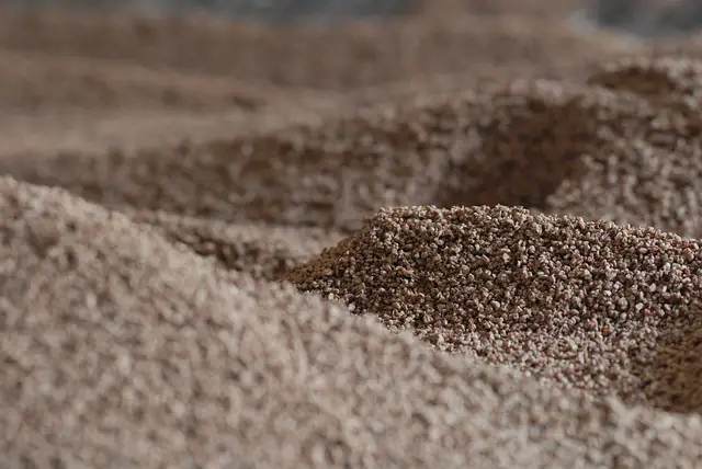 PRECIO KILO HUESOS DE ACEITUNA