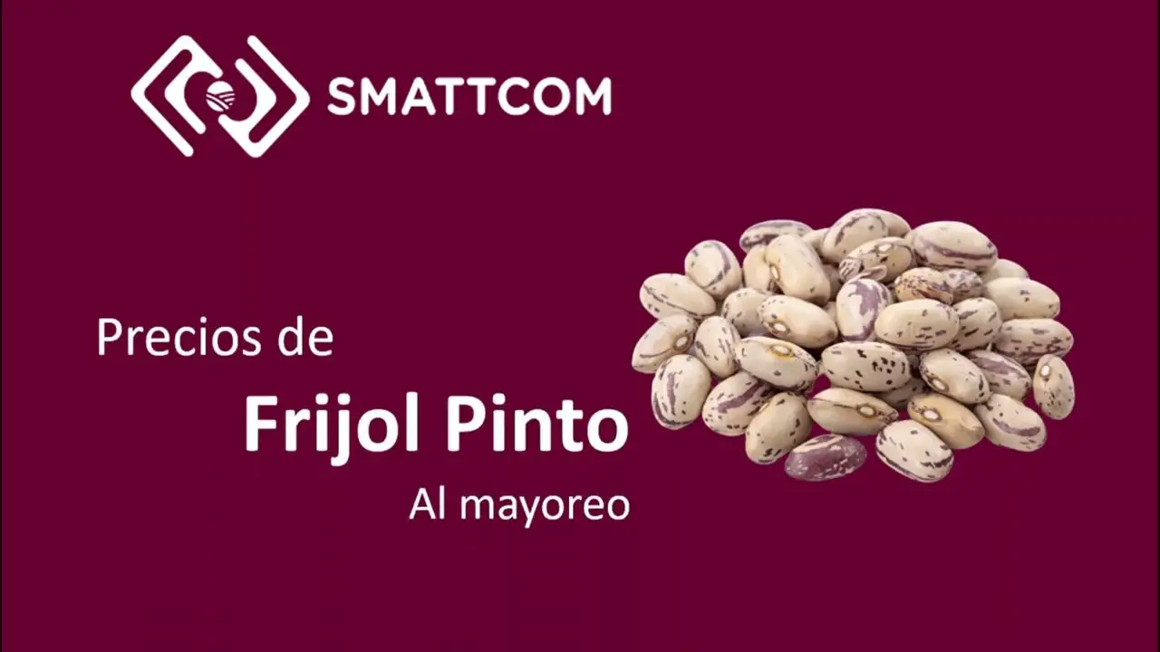 Precio kilo 2024 Precio kilo de frijol